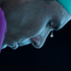 Rafael Nadal (who was not kicked out of the country!) is doing pretty well in the Australian Open.